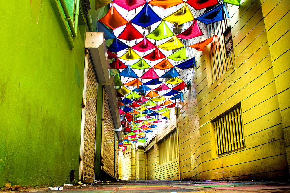 Photograph by behzad homayouninejad