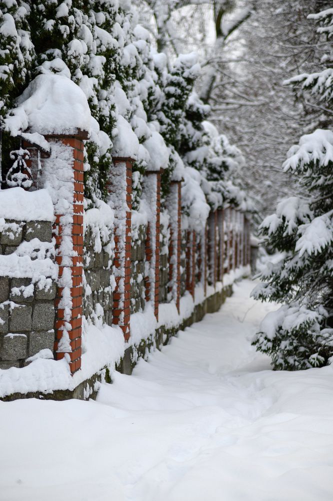 Photograph by Павел Юнусов