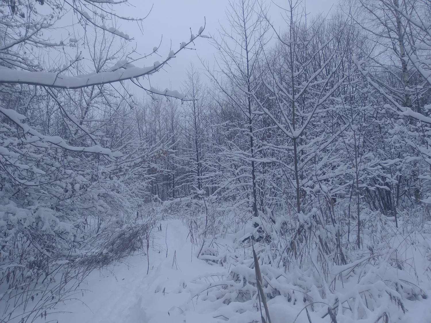 Photo #8532876