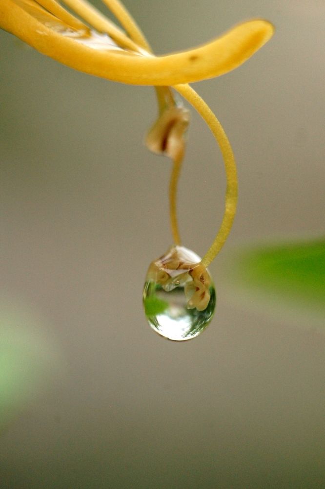 Photograph by Алексей Хорошайло