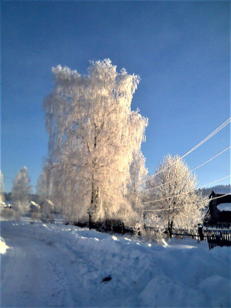 Photograph by Николай Худяков