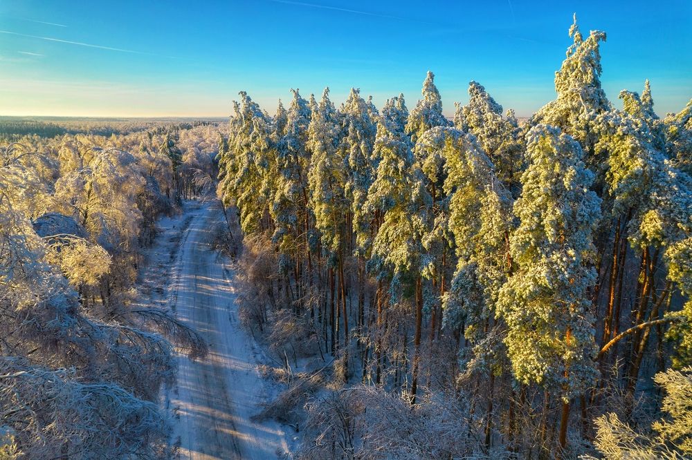 Photograph by Паша Савельев