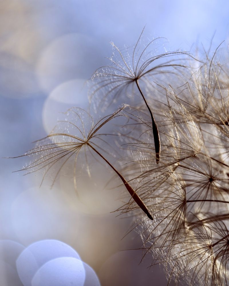 Photograph by Михаил