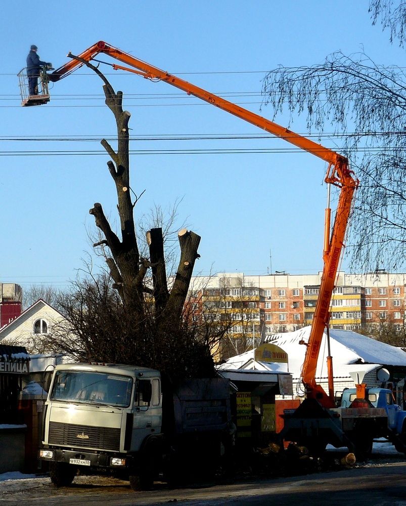 Photograph by леонид натапов