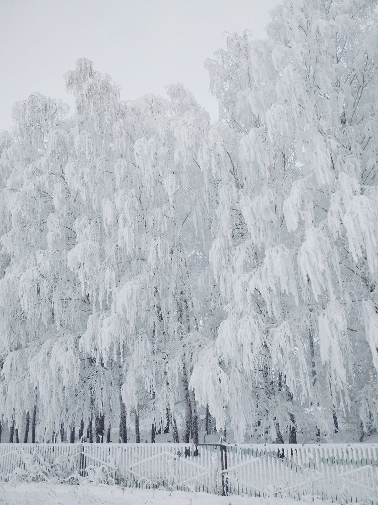 Photograph by Ksenia Paramonova
