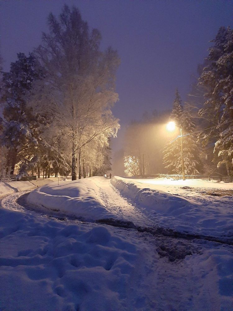 Photograph by Елена Горева