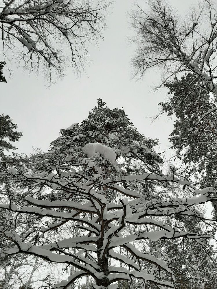 Photograph by Елена Горева