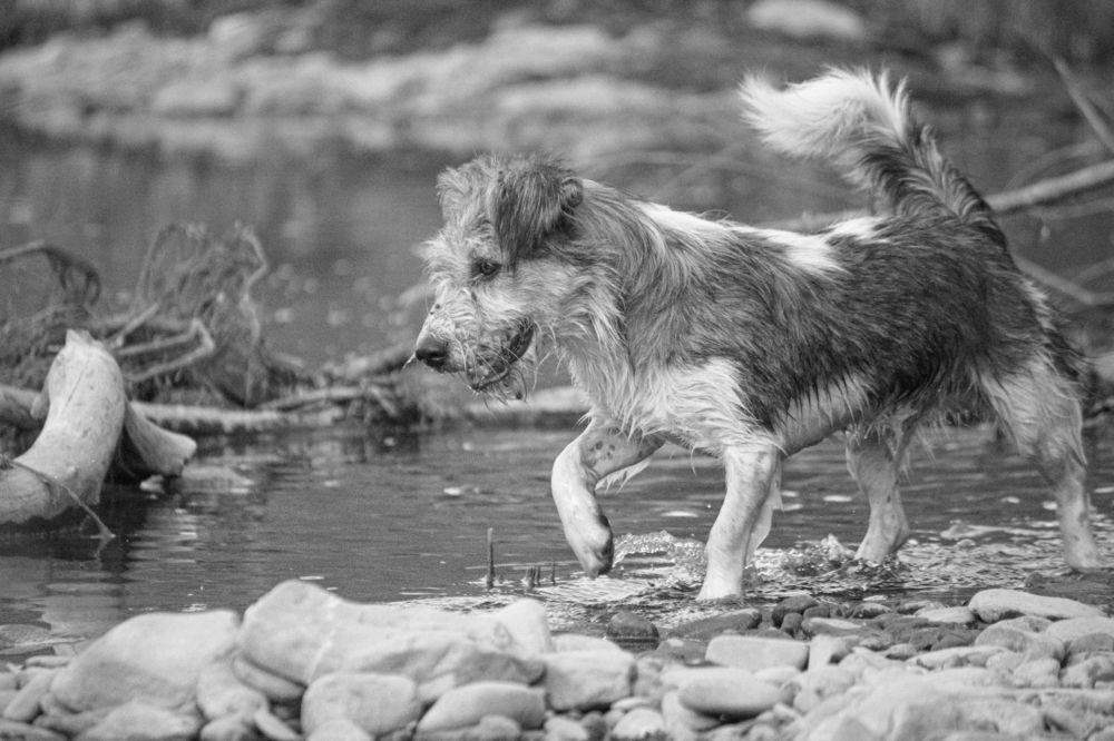 Photograph by Александр Перепелицин