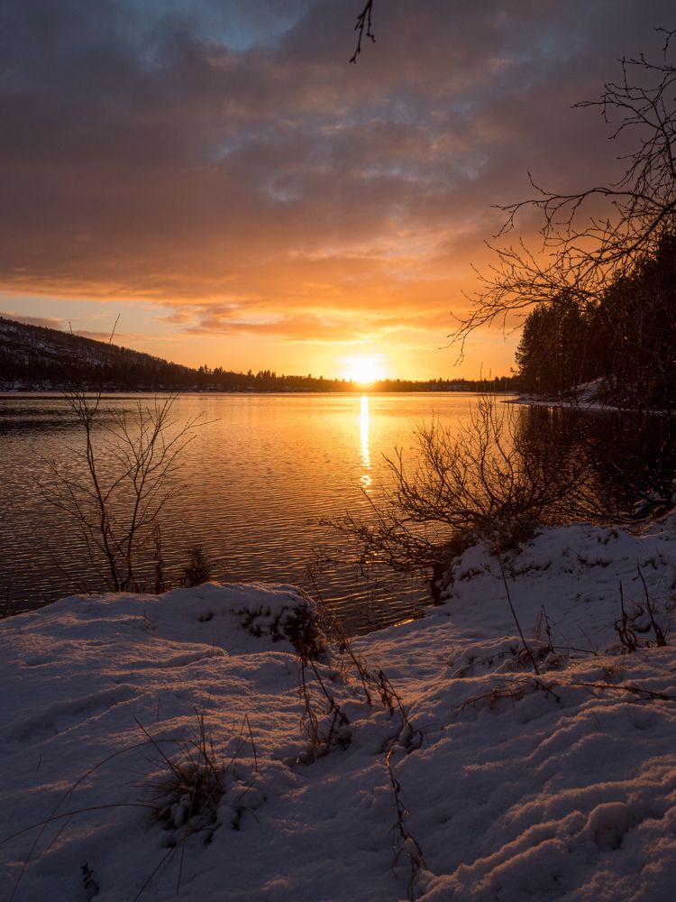 Photograph by Анна Шейко