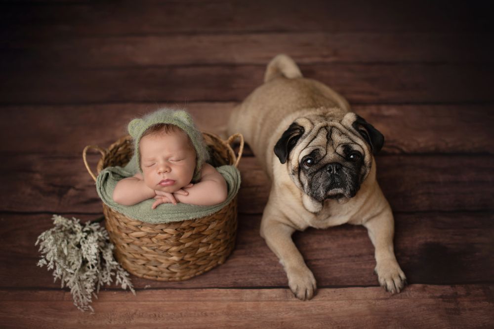 Photograph by Верина Женя