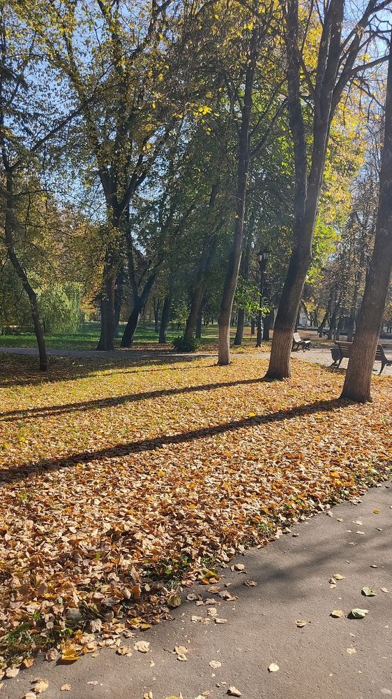 Фотография автора Кира Полотовская