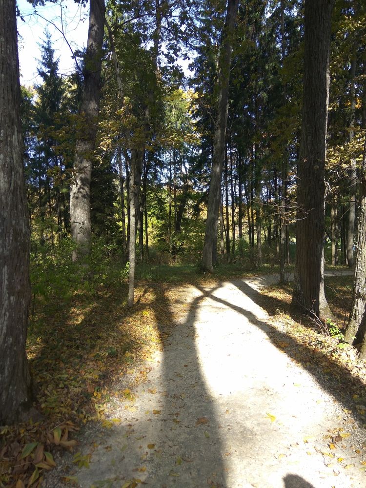 Фотография автора Кира Полотовская