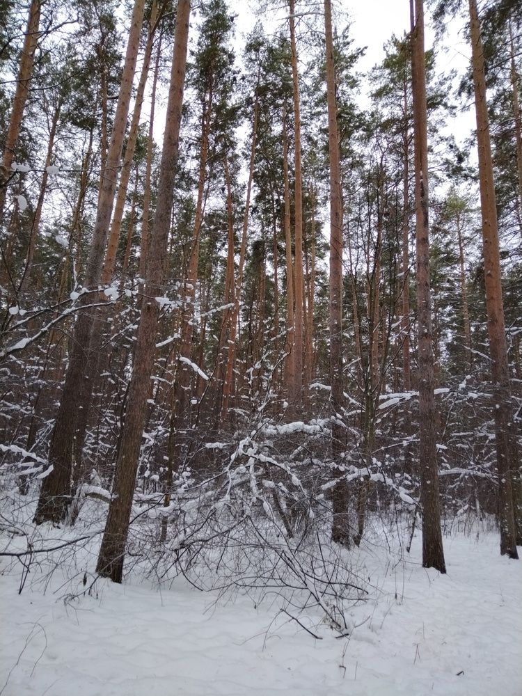 Photograph by Наталья Сметанина