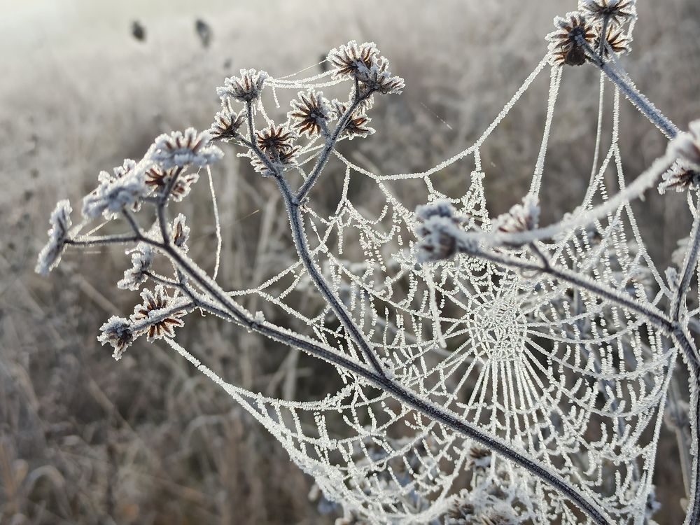 Photograph by Таня Долгушева