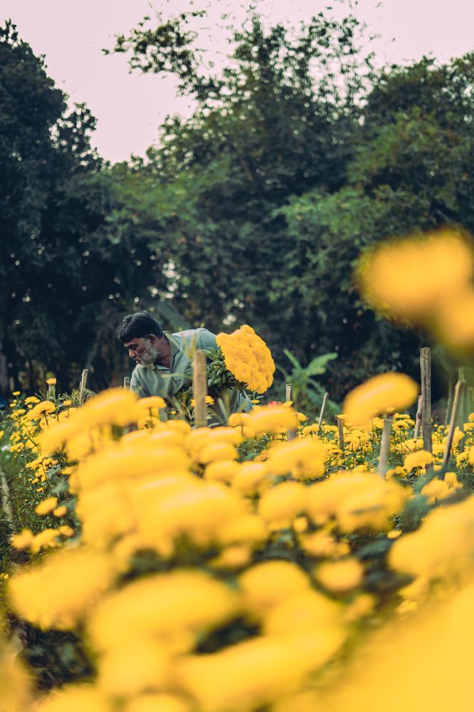 Photograph by Abir Das