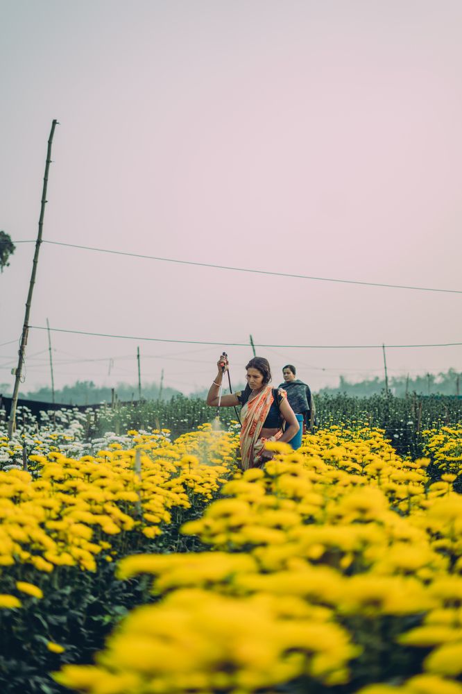 Photograph by Abir Das
