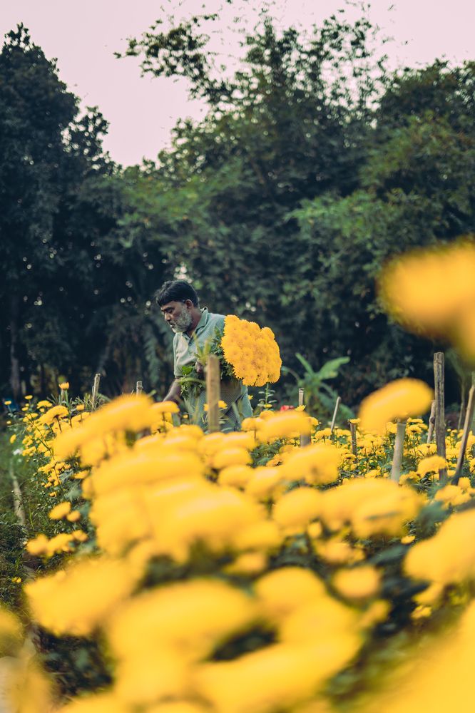 Photograph by Abir Das