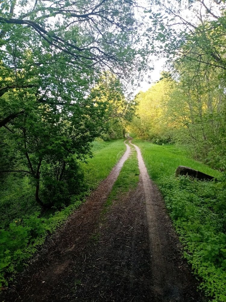 Photograph by Михаил Царикевич