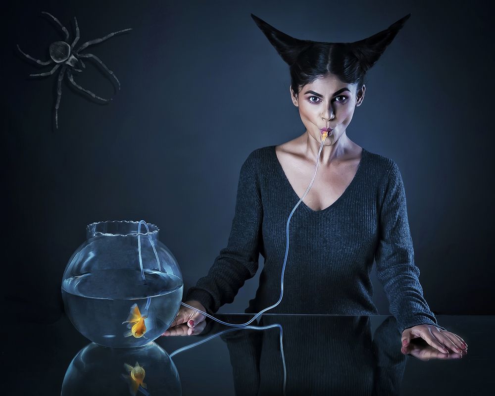 THE SILENT KILLER V2