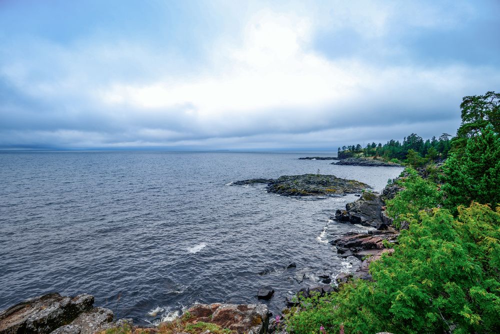 Photograph by irina sherry