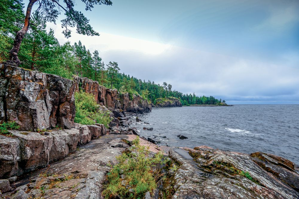 Photograph by irina sherry