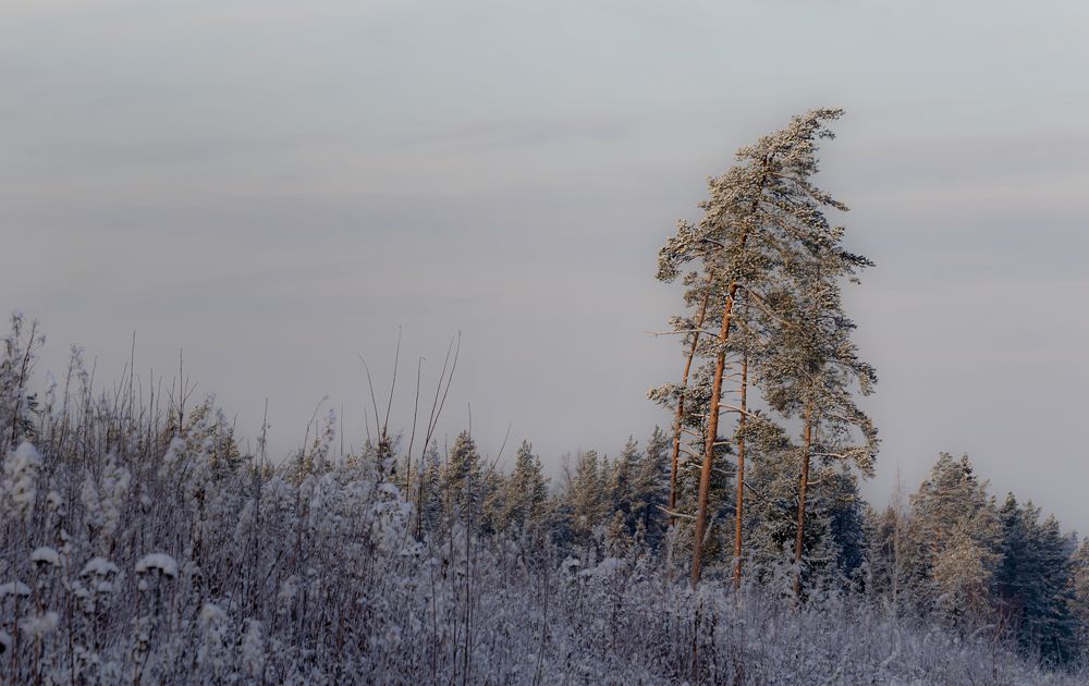 Photograph by Юлия Куликова