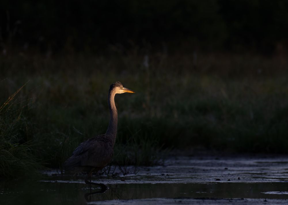 Photograph by Maciej Żabecki