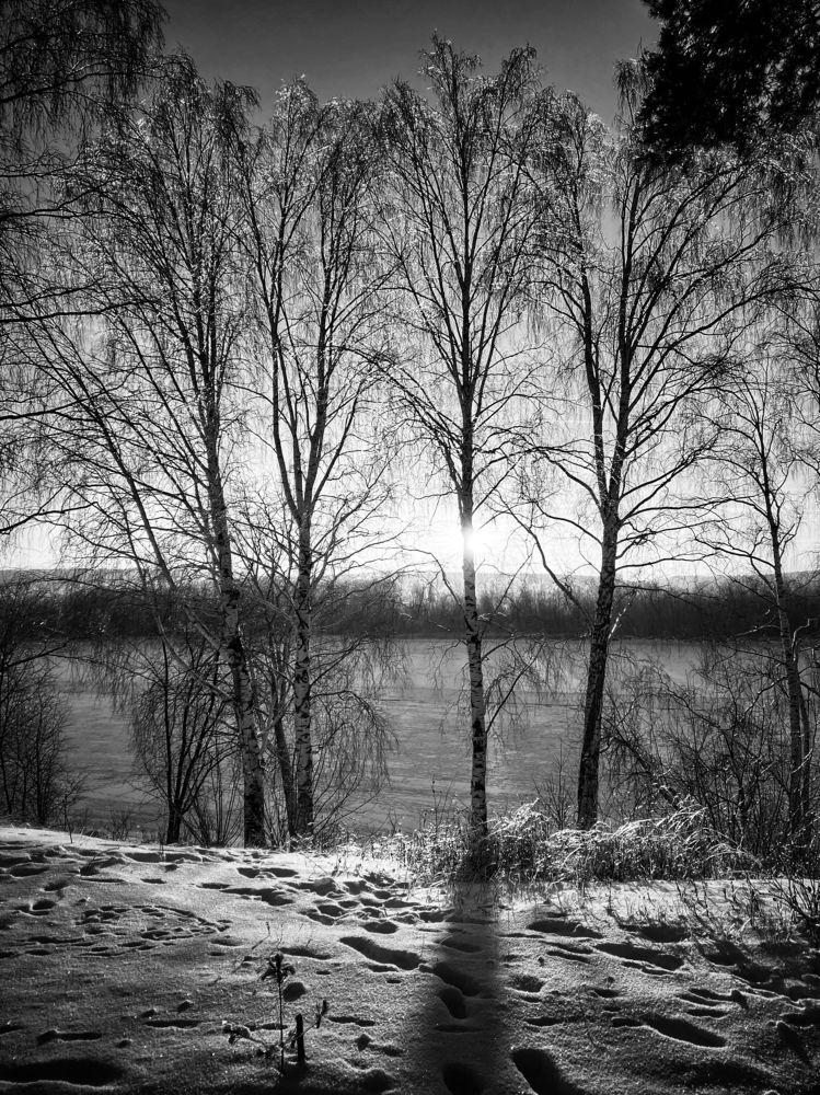 Photograph by Evgenia Privalova