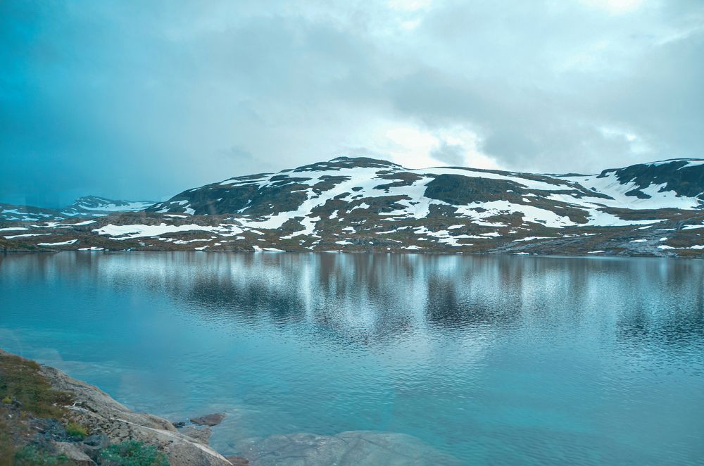 Photograph by irina sherry