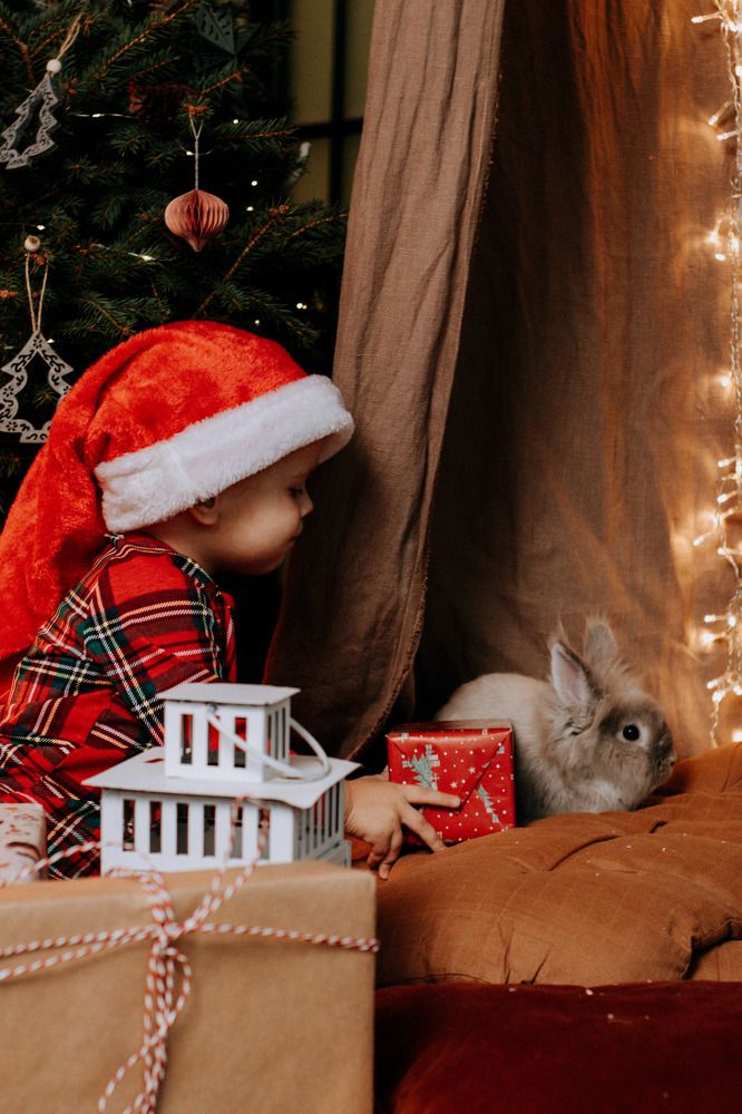 Photograph by Мокану Анастасия