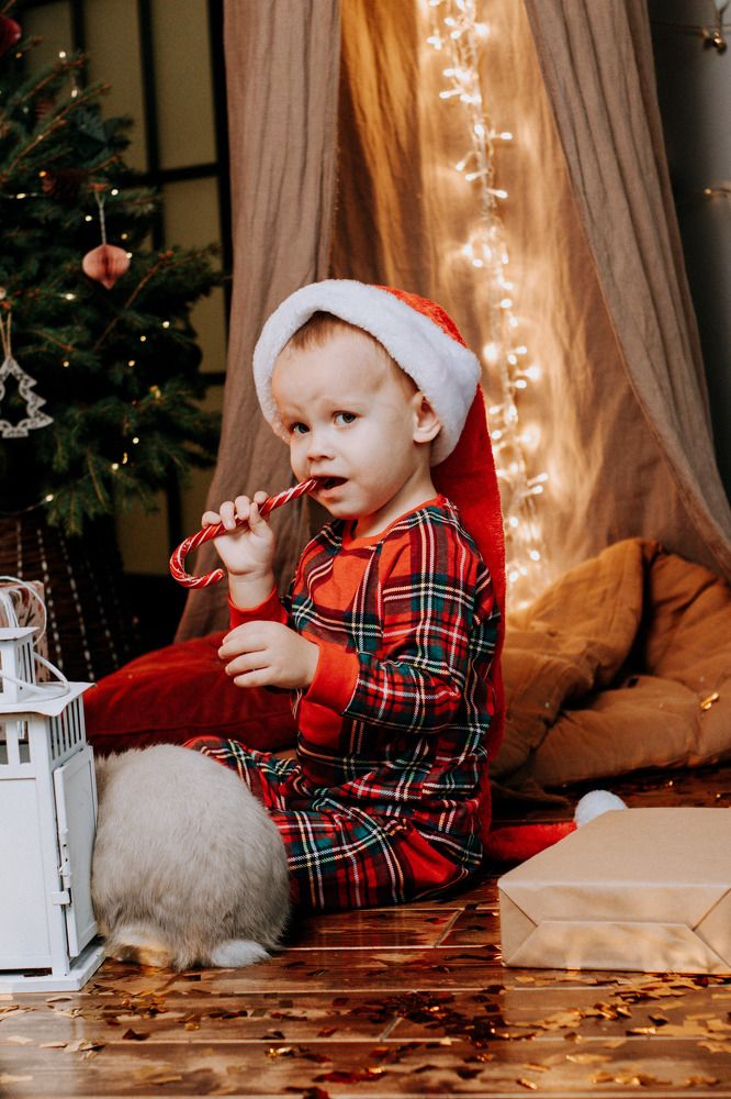 Photograph by Мокану Анастасия