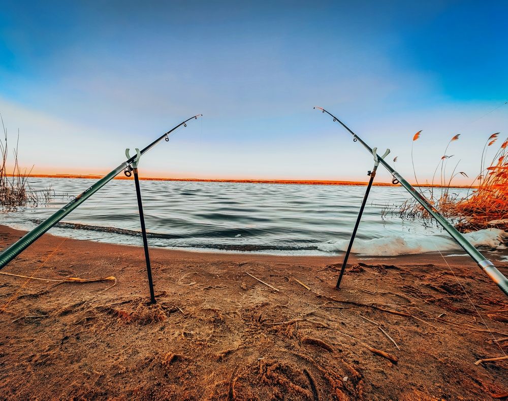 Photograph by Kate Maximenko