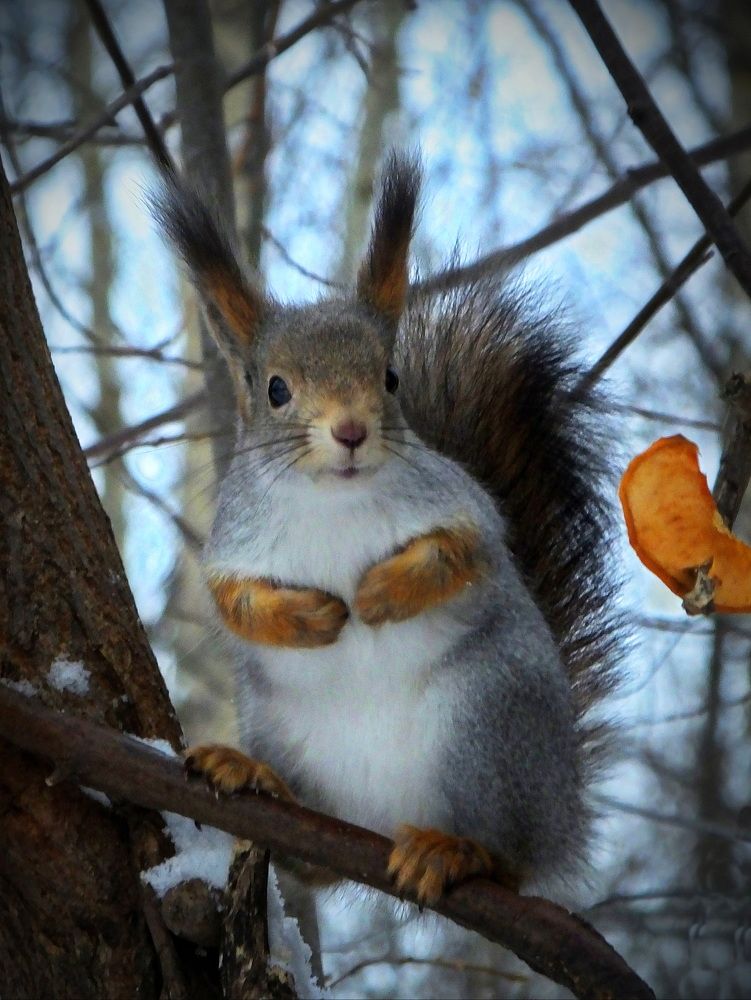 Photograph by Юрий Митенёв