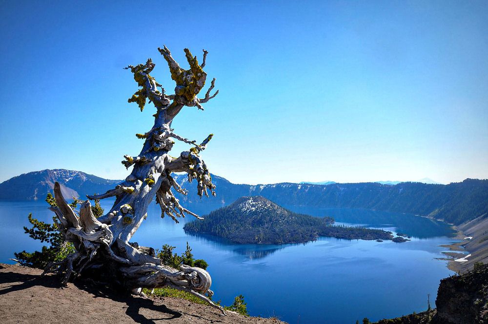 Фотография автора Ковяк Сергей Васильевич