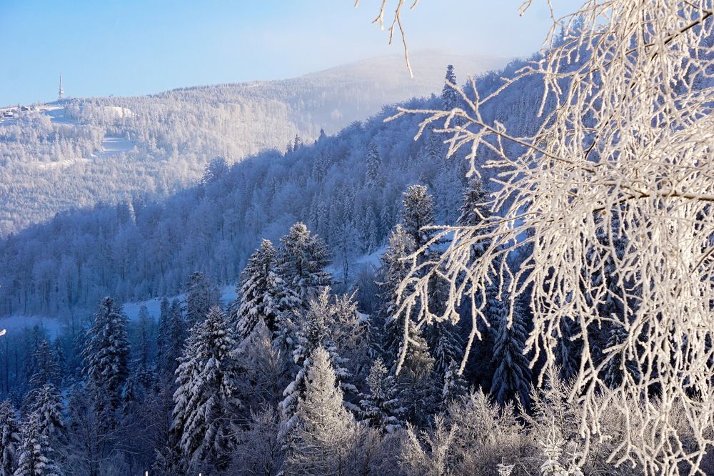 Photograph by Оксана Сидоренко