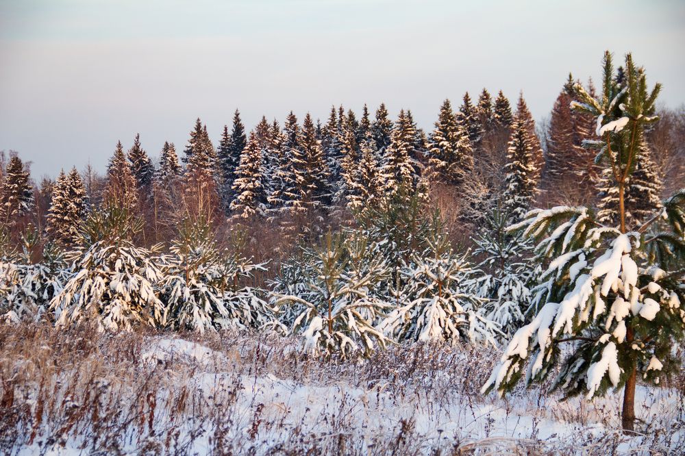 Photograph by Oksana Sabeleva