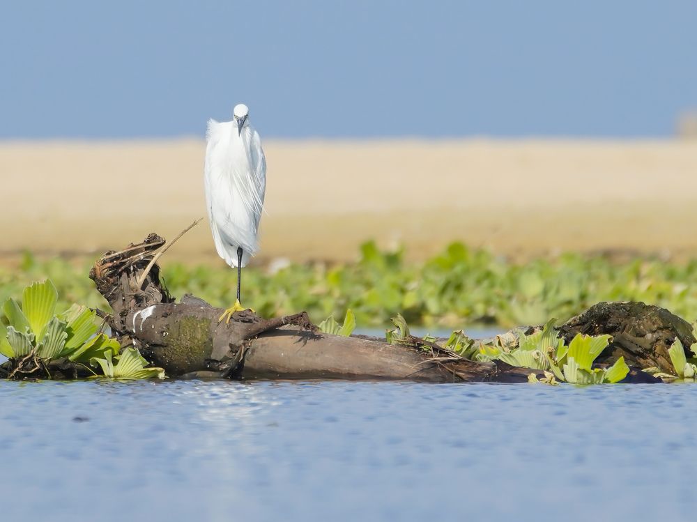 Photograph by Gotcha Biniashvili