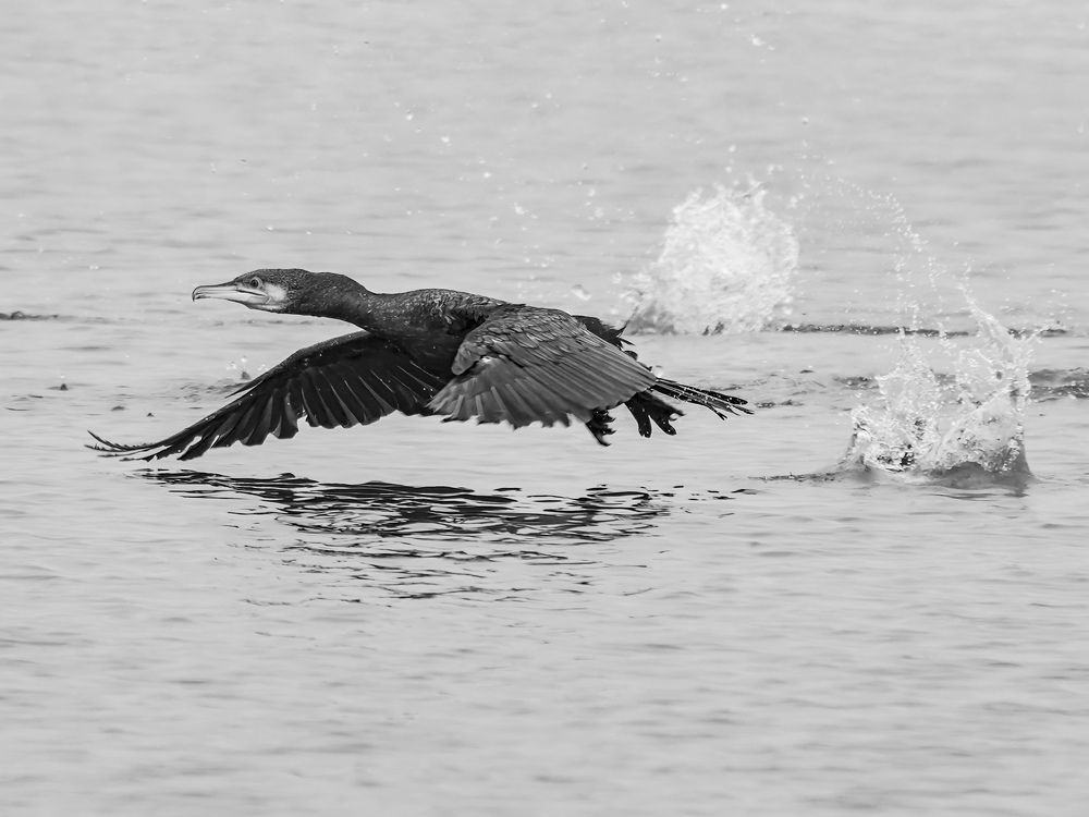 Photograph by Gotcha Biniashvili