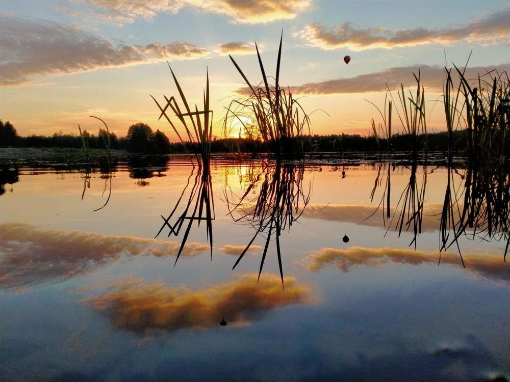 Photograph by РУМАТА