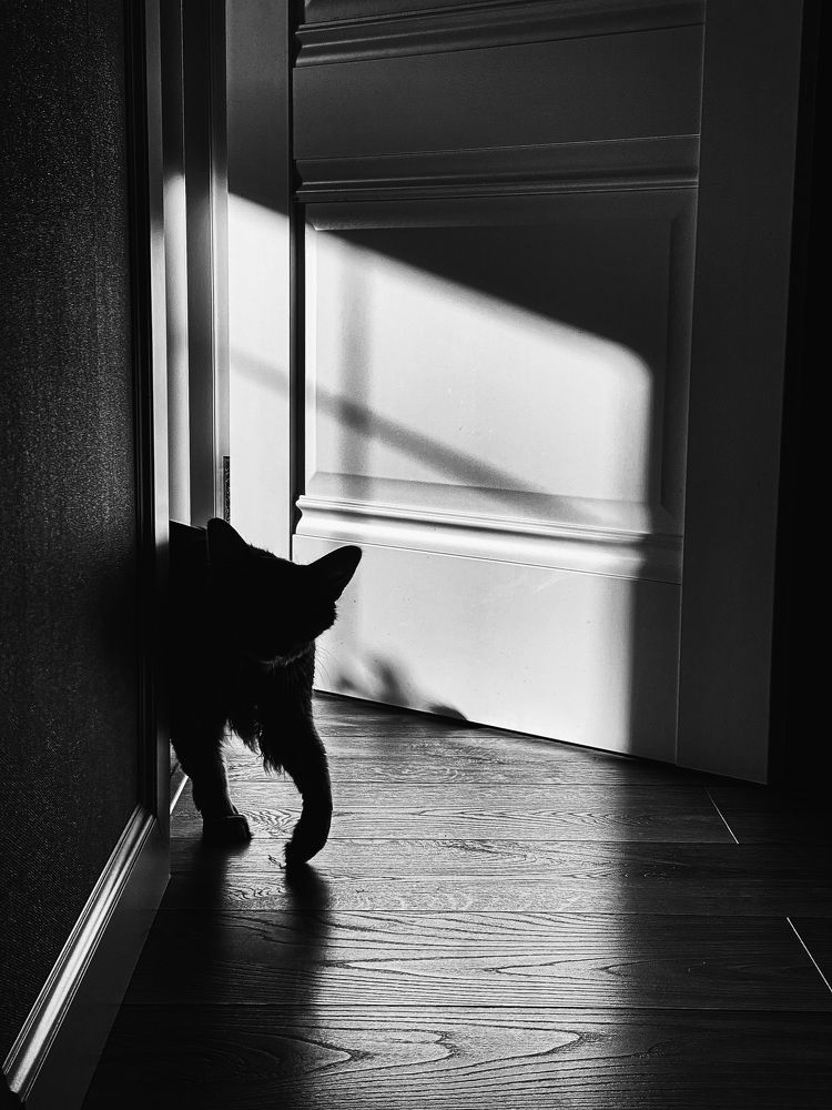 Фотография автора Валерия Витте