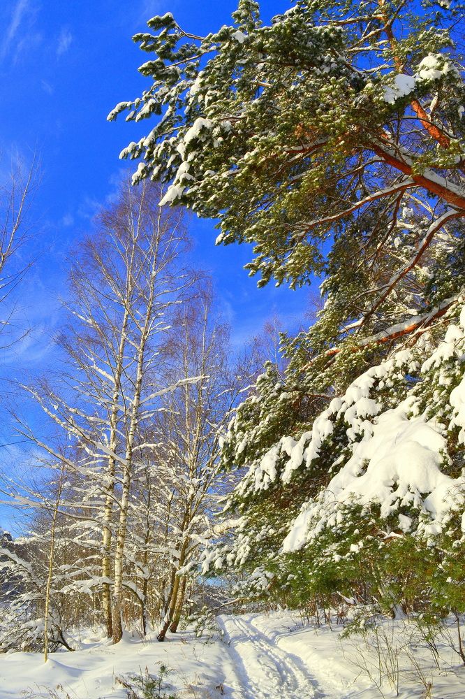 Photograph by Андрей Москалев