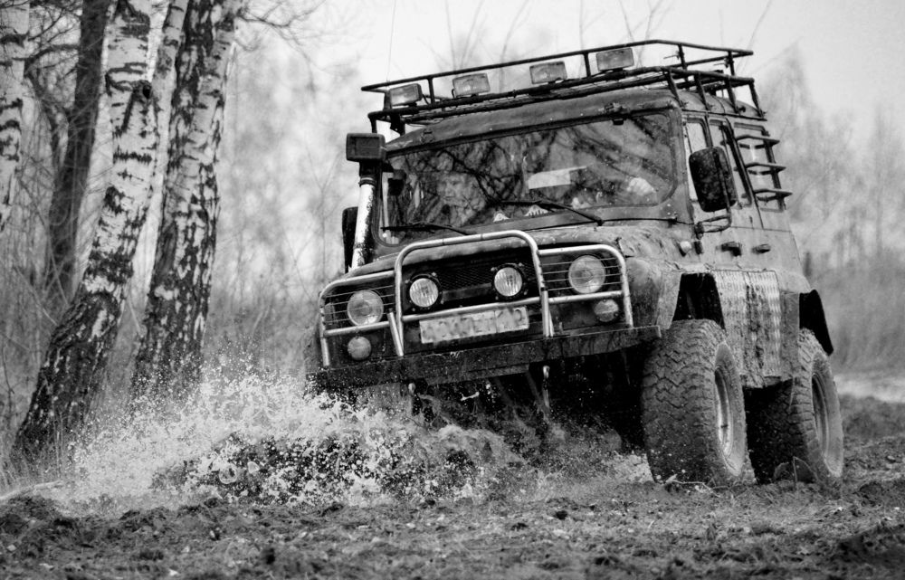 Фотография автора Mila Prophoto