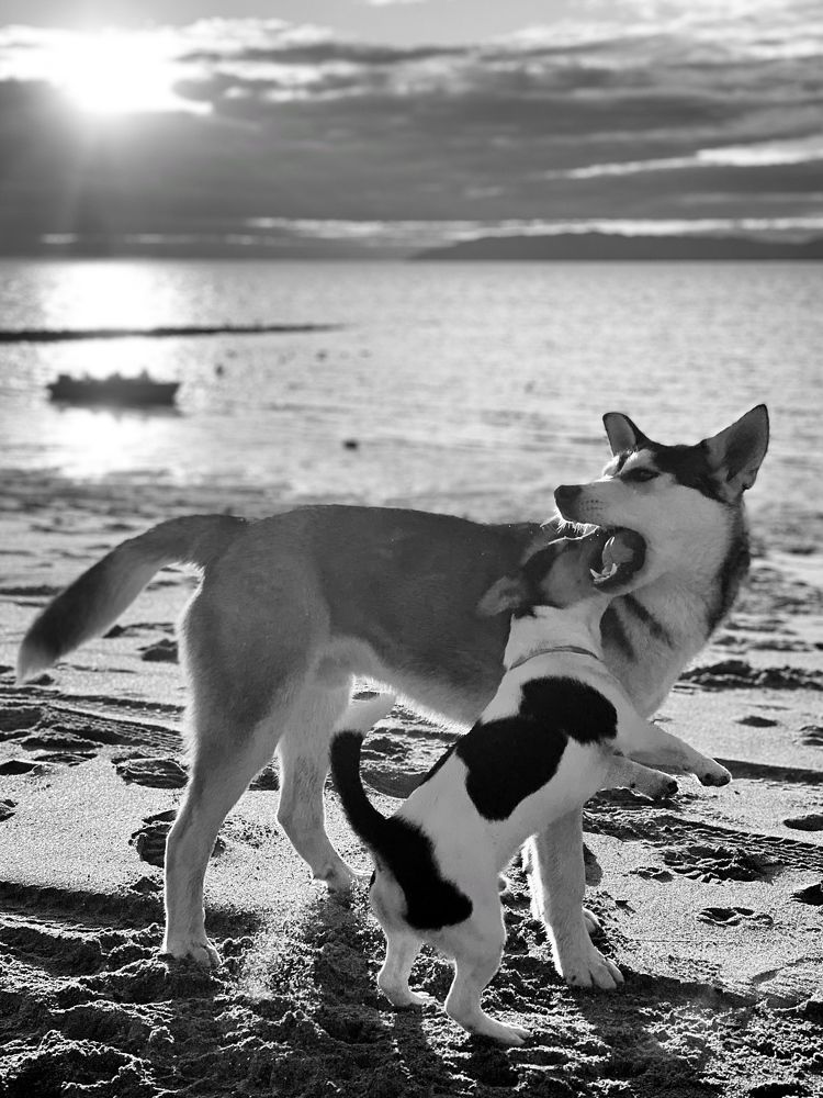 Photograph by Евгения Казакова