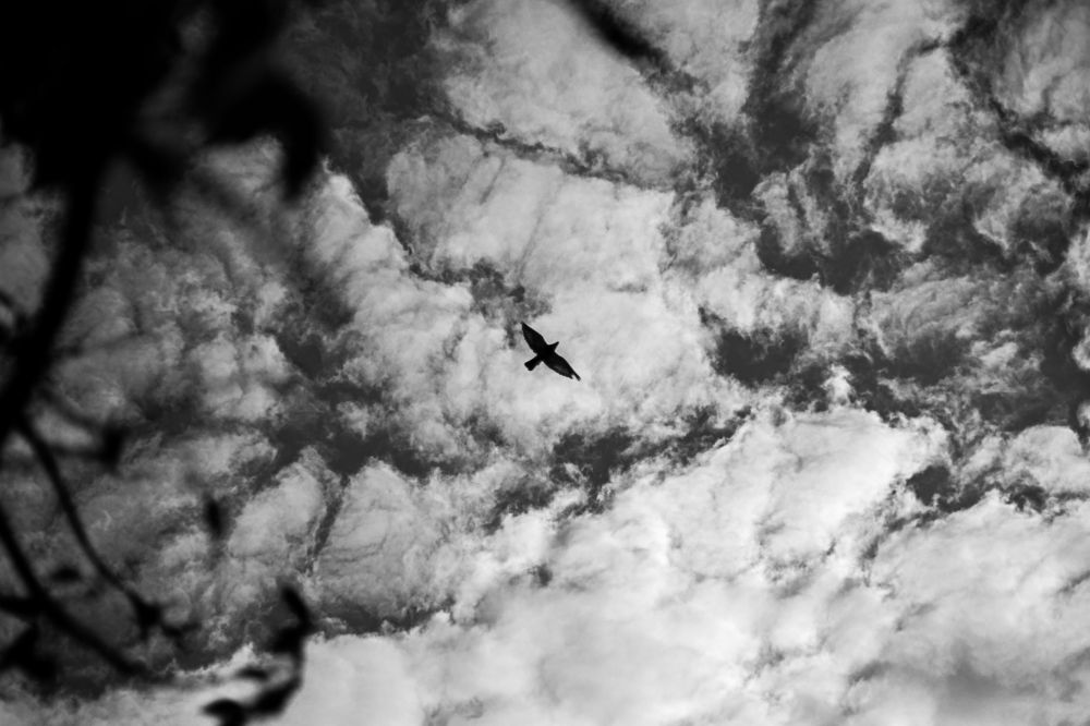 Photograph by Антон Мостовой