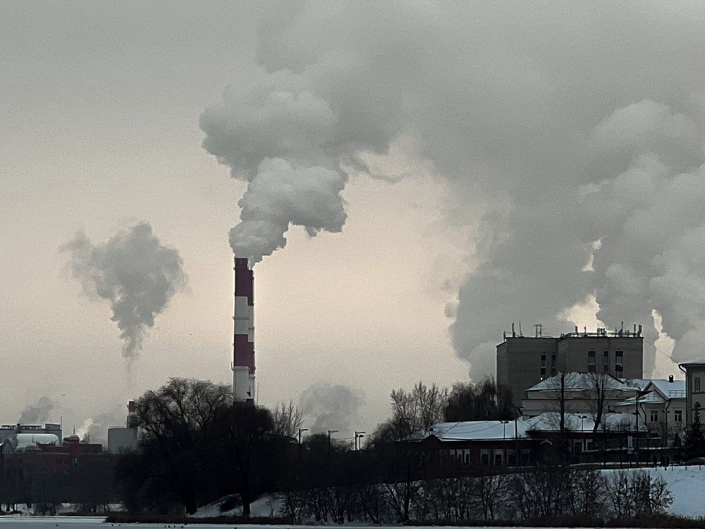 Photograph by Elvira