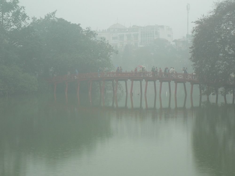Photo #8533828