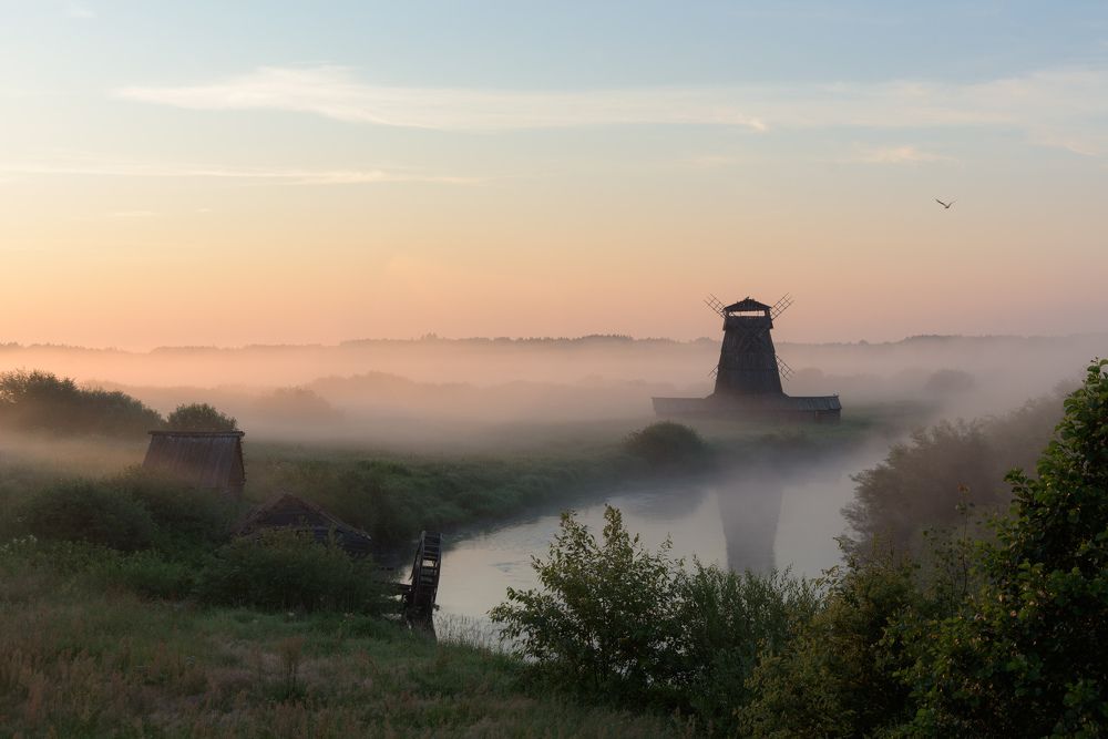 Photograph by Дарья