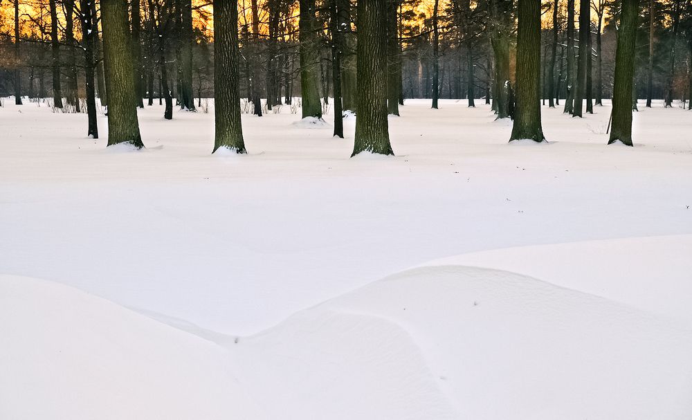 Фотография автора Ольга Виноградова