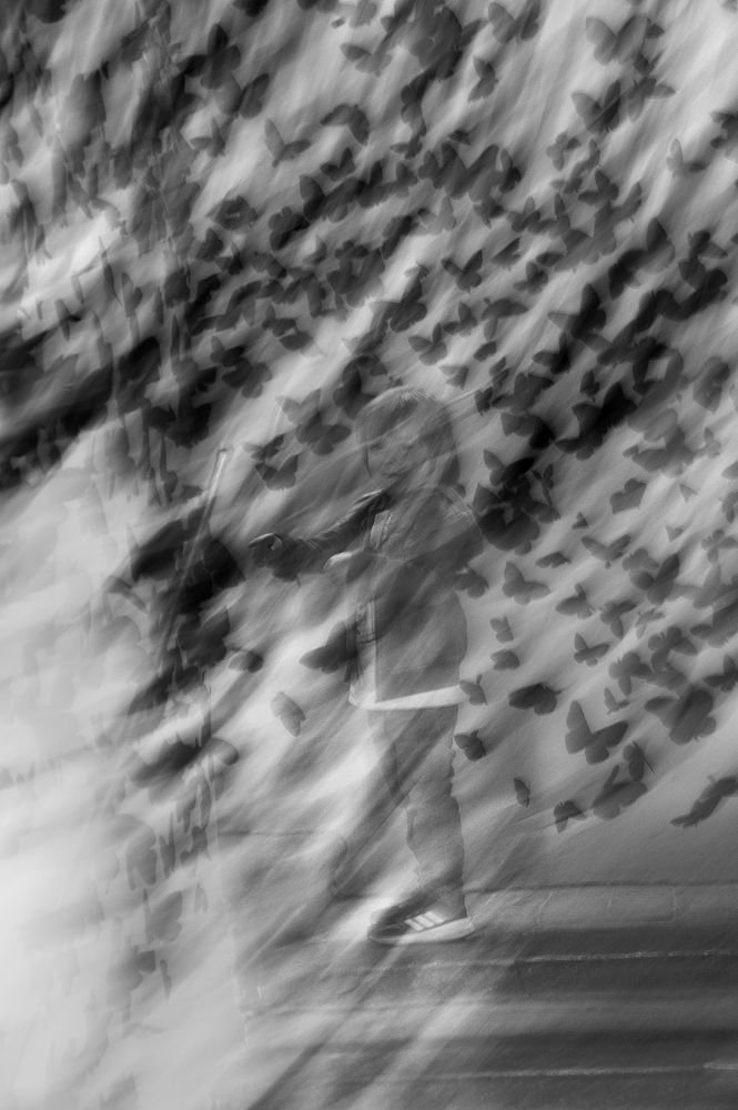 Photograph by Daniele Filacchioni