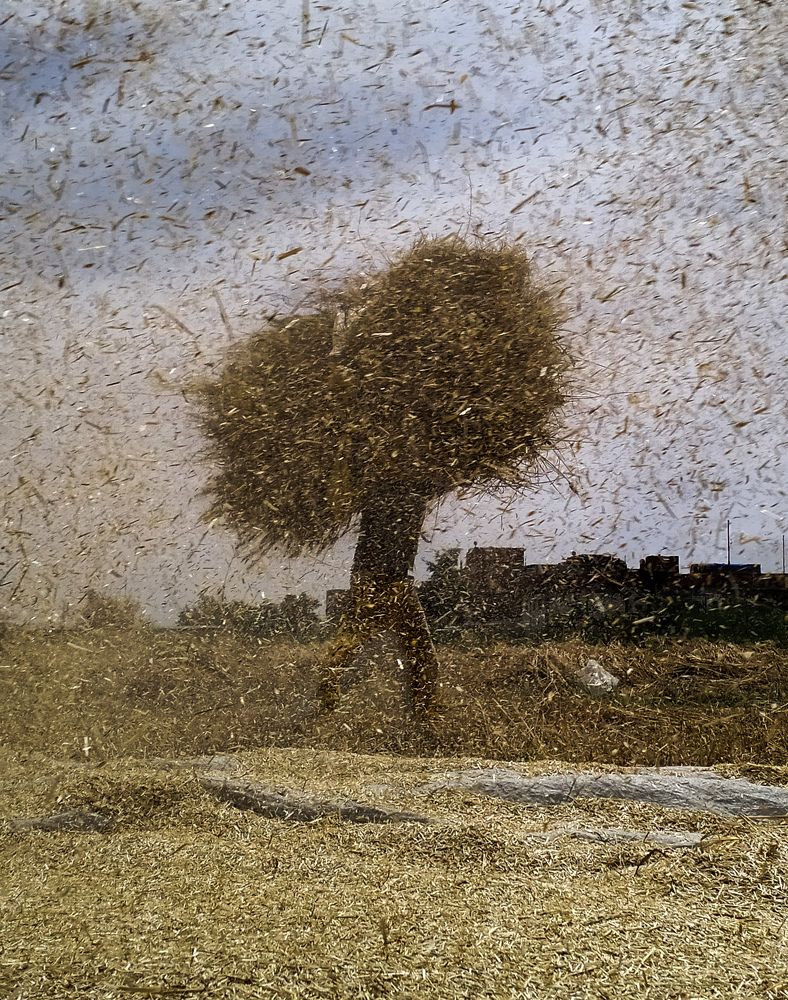 Фотография автора Ahmed Flex